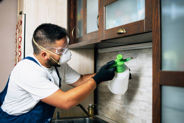 Best Pest Prevention Services  in Dunsmuir, CA
