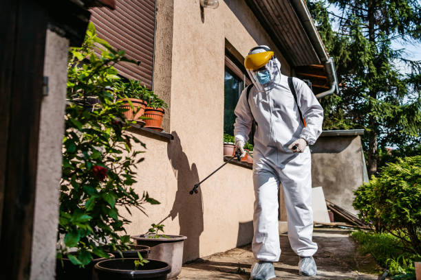 Reliable Dunsmuir, CA Pest Control Solutions