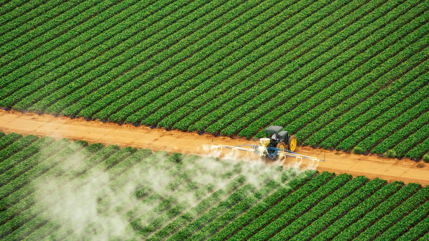Best Commercial Pest Control Services  in Dunsmuir, CA