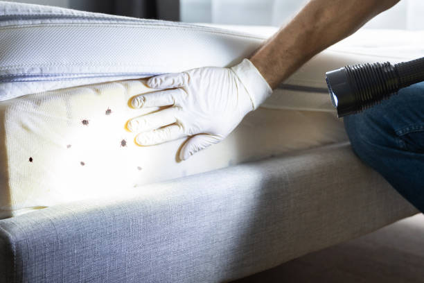 Best Exterminator Services  in Dunsmuir, CA