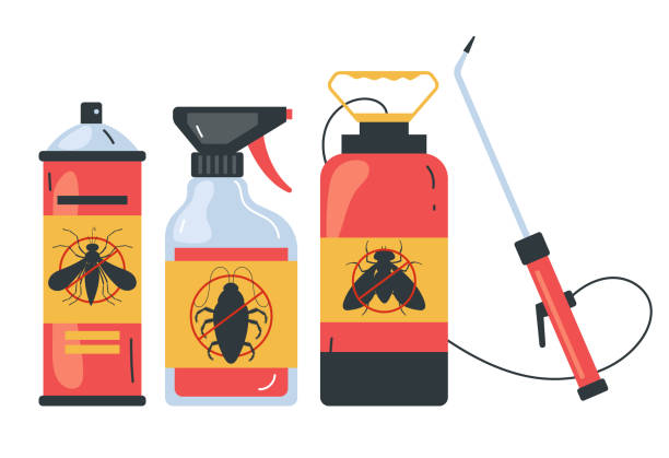 Best Spider Control Near Me  in Dunsmuir, CA