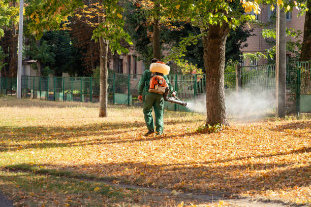 Best Best Pest Control Companies  in Dunsmuir, CA