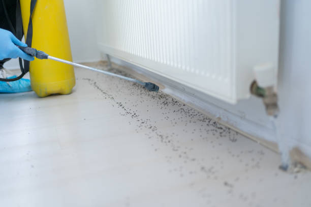 Best Cockroach Control Services  in Dunsmuir, CA