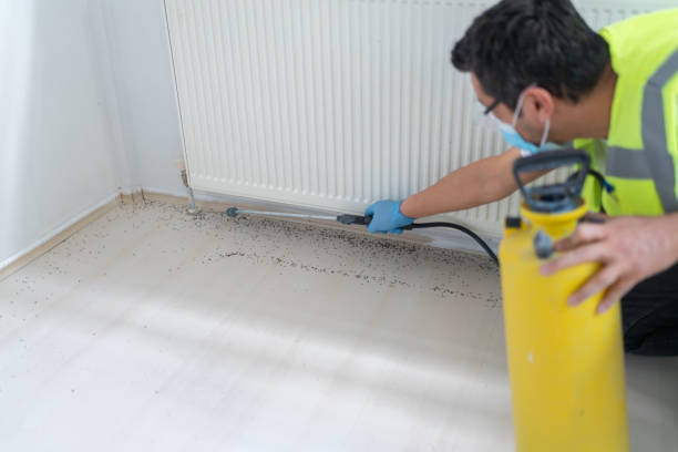 Best Residential Pest Control  in Dunsmuir, CA