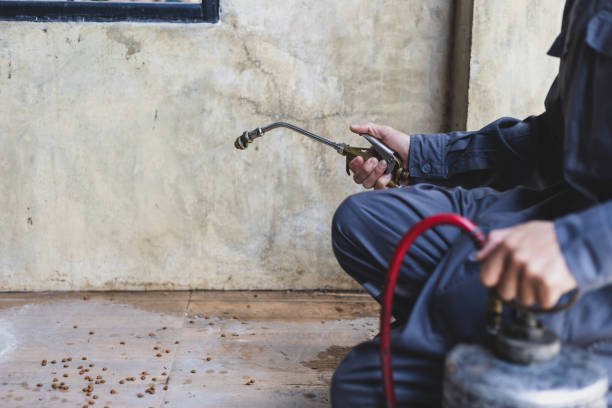Best Local Pest Control Services  in Dunsmuir, CA